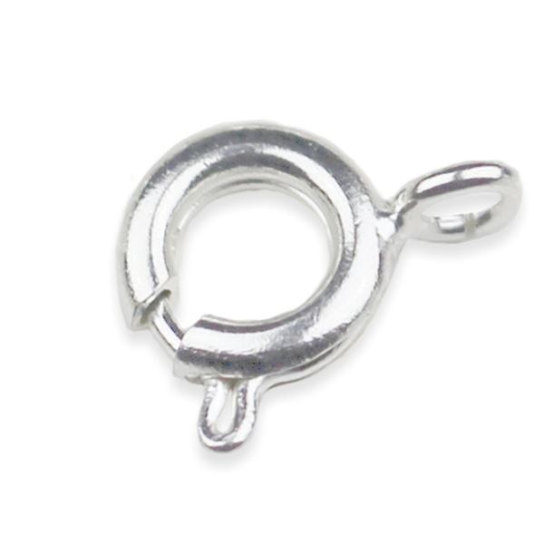 Karabiner Verschluss SILBER