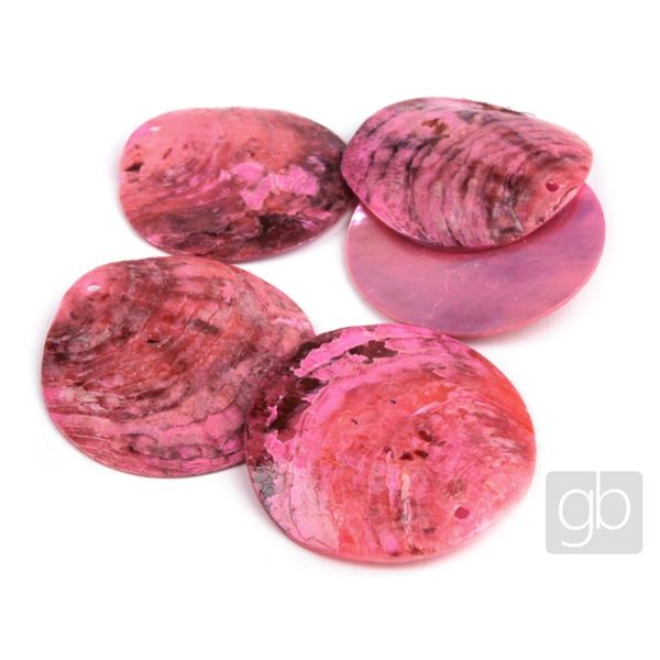 Muscheln gebohrt gefrbt Pink