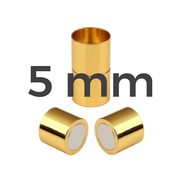 Magnetbefestigung GOLD Chirurgischer Stahl 5 mm